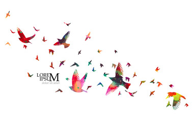 A flock of colorful birds. Vector illustration