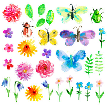 Set of colourful bright watercolor butterflies, bugs and flowers, leaves