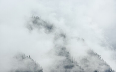 Fog and clouds rises on the slopes of the mountains.