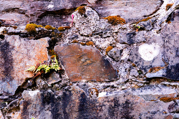Background of stone wall texture photo