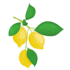 Watercolor illustration lemon fruit food