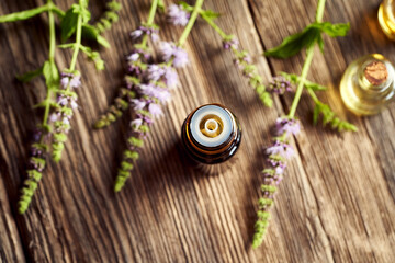 A dark bottle of peppermint essential oil with fresh blooming peppermint