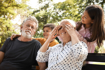 Happy grandparents with little children having fun together in park