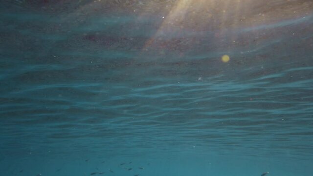 Sott'acqua nel mare Mediterraneo in Calabria