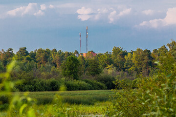 Obraz premium cellular network tower in a forest area