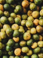 Jeruk Medan  - Medan's Orange