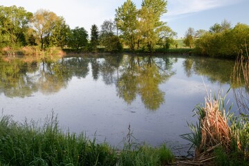  Morning by the pond. Rouske. East Moravia. Europe.