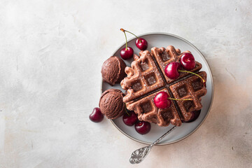 Homemade chocolate waffles with berries and chocolate ice cream. Delicious dessert or breakfast.