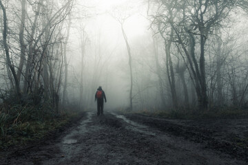 A blurred, transparent ghostly hiker on a woodland path. On a foggy, spooky, winters day. With a grunge, weathered, texture, edit.