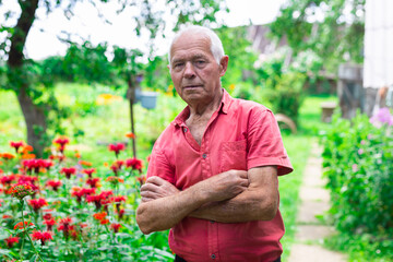Naklejka na ściany i meble retired man posing next to a flower bed on a personal plot in a village in summer