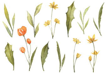 Fototapeta na wymiar Set of watercolor wild flowers. Watercolor clip art objects isolated on white background. Botanical illustrations. Big collection of wild flowers. Pink orange and yellow flowers with green leaves