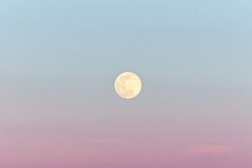 Beautiful moon on  soft pink sky. Beautiful moon on soft pink sky, astrological background.