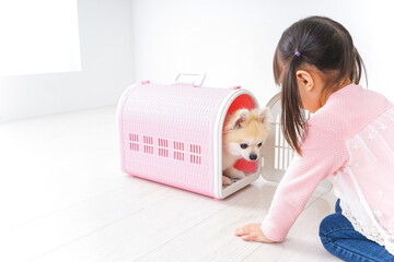 ペットの世話をする子ども