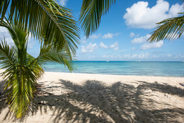Palm leaves against the blue sky at a deserted tropical beach on the island of Cozumel, Mexico