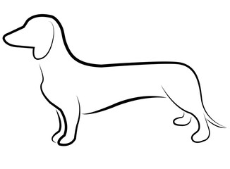 dachshund dog line art - vector