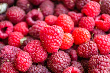 Ripe red raspberry fruits.
