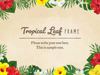 南国のリーフフレーム © YUMI TAKAKI