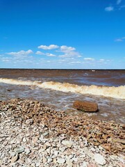 The tree is in the water.The lake flooded the Bank with a tree.The lake in the spring. Sandy beach.