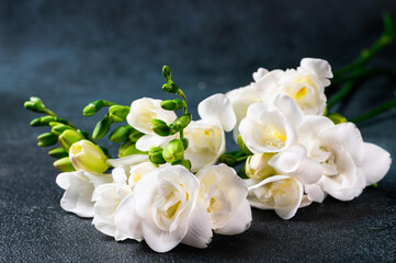 Fototapeta na wymiar The branch of white freesia with flowers and buds on a dark background. Flowers on table. Blossom of freesia. Wedding flowers