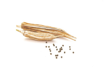Two organic homegrown dried okra pods with seeds isolated