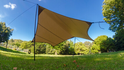 夏の公園でテントを張ってアウトドアしている様子