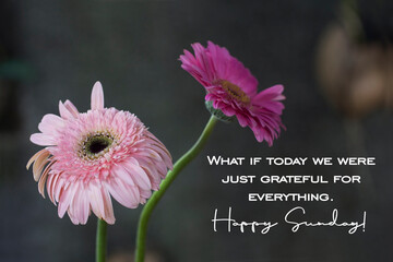 Happy Sunday greeting with inspirational quote - What if today we were just grateful for...