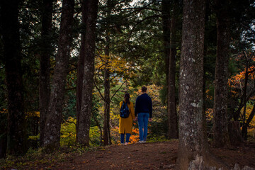 The abstract soft blurred low key photo of boy and girl holding each other hand presenting of romantic and love in the forest. Present concept of love, promise and dating.