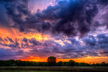 sunset over the field