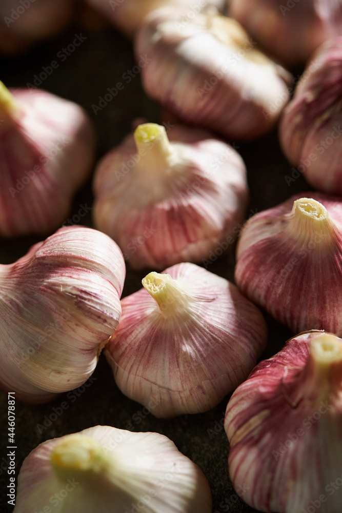 Sticker washed garlic on dark background