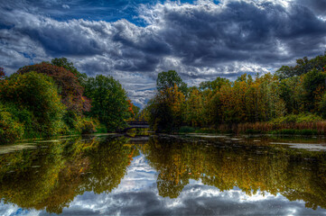 Fototapeta premium reflection of trees in water