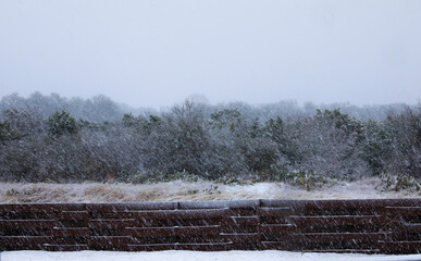 Landscape photo in Texas snow storm