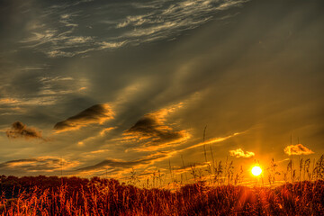 sunset in the field