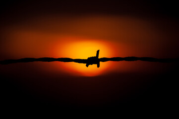 barbed wire silhouette in a orange background