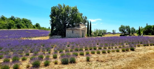 Zelfklevend Fotobehang Paysages des Alpes de Haute Provence © Boris V. 