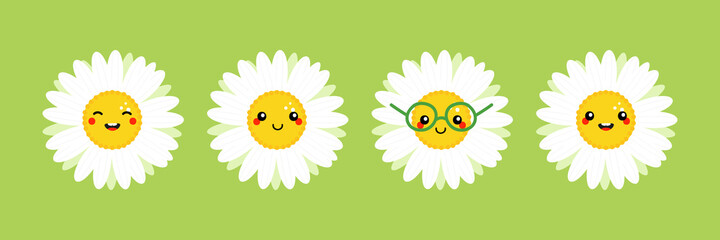 Camomile, daisy flowers characters set, collection cute cartoon style icon, illustration for nature design.

