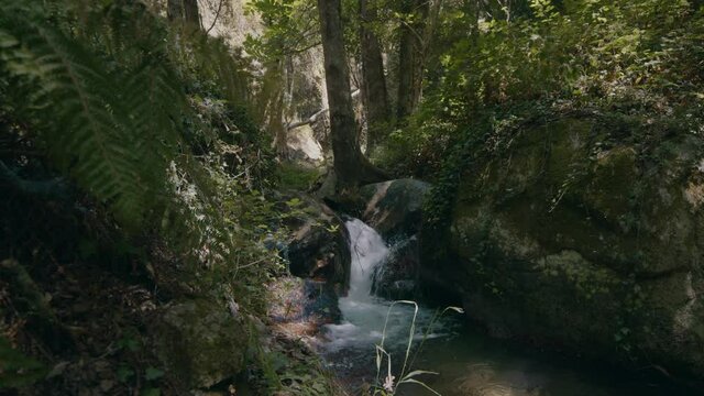 Torrente e cascata all'interno in Calabria