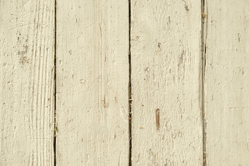 Naklejka premium Old wooden texture. Beige painted old door. Vintage background.