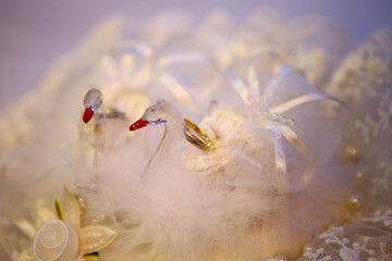 a pair of gold rings prepared for the blessing