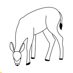 Deer Line Art vector Logo Design for Business and Company