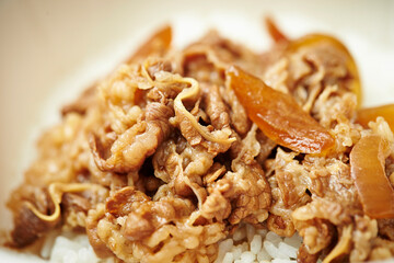 Beef Bulgogi Rice Bowl in Takeout Container