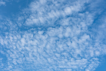 blue sky background with tiny clouds.