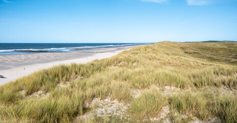 Fototapeta na wymiar Dunes, beach and breakwaters at North Sea coastline of West Frisian island Vlieland, Netherlands