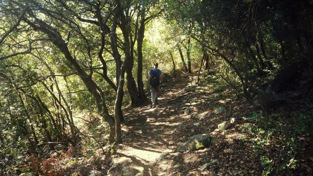 Man with backpack walking along a path in a forest in Greece, multiple greenery, godrays. Slow motion