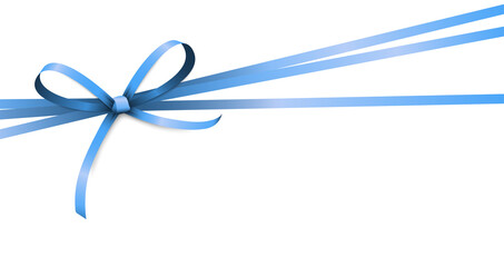 blue colored ribbon bow