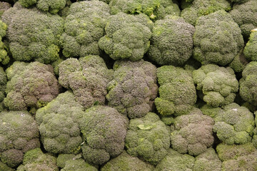 A stack of fresh organic broccoli crowns displayed for sale at a farm market stand