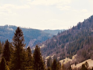 landscape in the morning