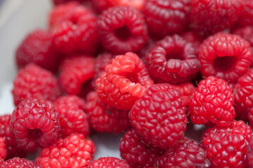 raspberries on a white