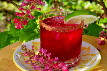Maroon Tequila and beet cocktail on flower Currant background