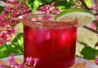 Maroon Tequila and beet cocktail on flower Currant background