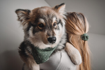 A blonde woman cuddling a Finnish Lapphund dog